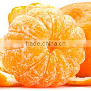 Mytext Juicy sweet delicious fresh baby honey fresh mandarin orange