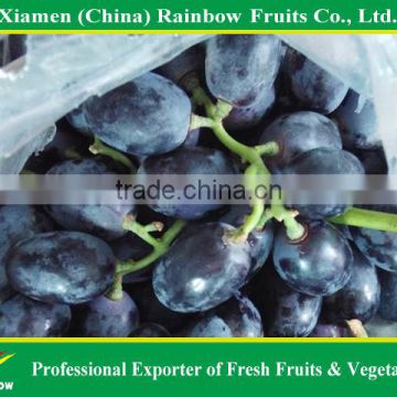 Chinese Black grape with sweet taste & good looking hot sell in Indonesia market