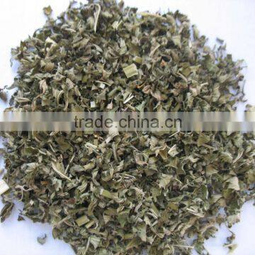 Dried medicinal herbs/herbal medicine-Leonurus sibiricus leaf