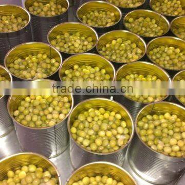 canned vegetables canned peas with best price for sale canned green peas