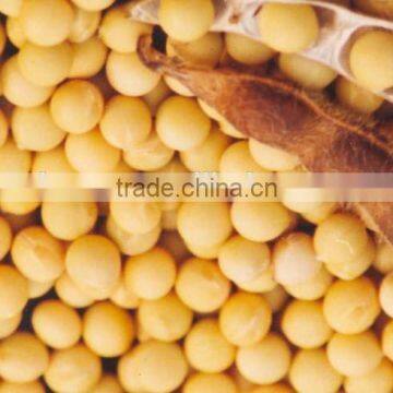 Hot Sales Soybean Extract 90% Lecithin photo-2