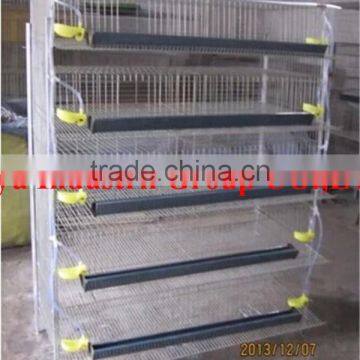 TAIYU Cages of Quails