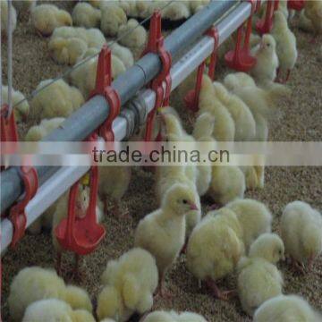 Firm and durable automatic chicken watering systems