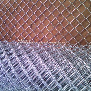 Galvanized 50X50mm 100X100mm Chain Link Fencence/ Wire mesh fence