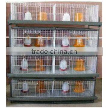 High Quality Chicken Brooder Cage Suppliers in China