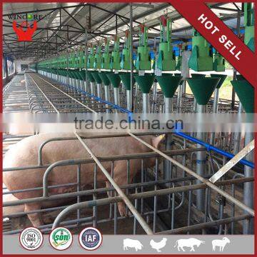 Wholesale High Quality Save Breeding Cost Economic Farm Pig Feeder