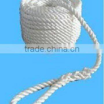 Nylon rope with loop