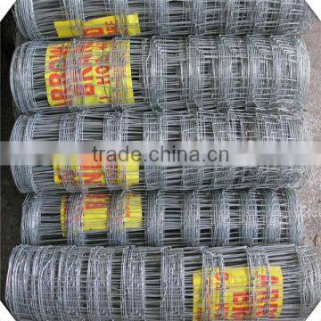 High Quality Galvanized Field Fence for Sale / Sheep Fence / Galvanized Fiedl Fence for Sale photo-4
