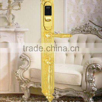 luxury style special design intelligent door lock