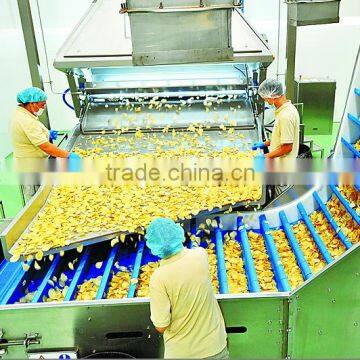 Potato Chips Production Line Small Scale Industries Machine photo-4