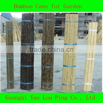 Bamboo Cane,Bamboo Pole,Bamboo Garden Fencing