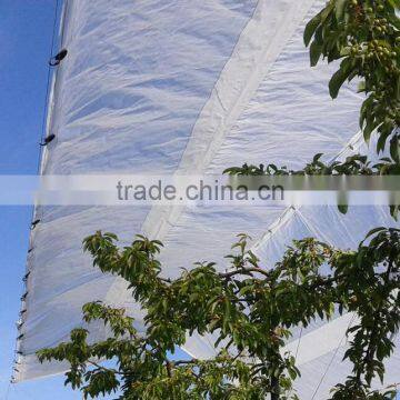 Clear HDPE tarpaulin waterproof fabrics