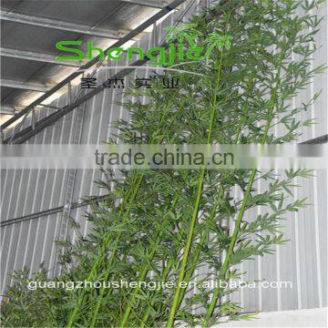 SJLJ013620 Artificial Tree and Plant Fake Plastic Bamboo for Garden Home Decoration photo-3