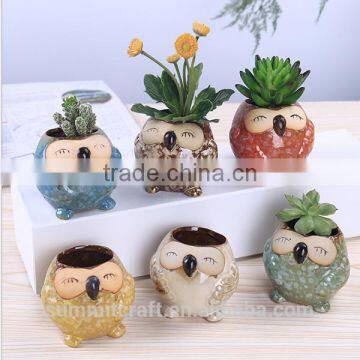 Succulent color owl ceramic mini indoor plants pots