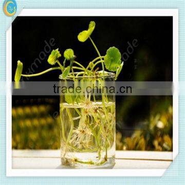 Clear glass vases for home decoration