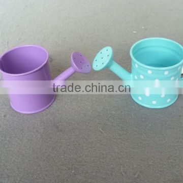 Multi-purpose Cute Gift for Children/Mini Watering Can/Metal Garden Necessity/Watering Can/Plant Shower