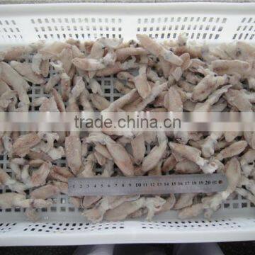 High Quality IQF Baby Squid photo-2