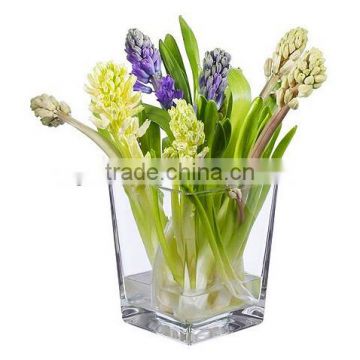 Super Mini Clear Glass Vase