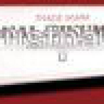 Damascus Kitchen Knife Santoku Cutlery Japanese Chef Knives for Wholesaler photo-4