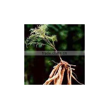 Saussurea Lappa Extract photo-4