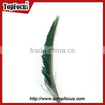 Wedding Dresses Decoration Indian Wholesale Natural Peacock Feather