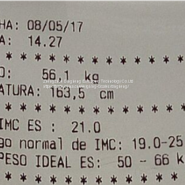 DHM-600 Medical and Personal Ultrasonic Height and Weight Scale With Printing photo-5