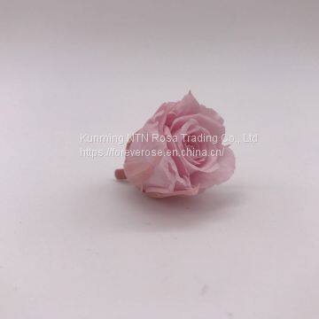 Preserved Rose for Wedding Festival Decoration photo-2