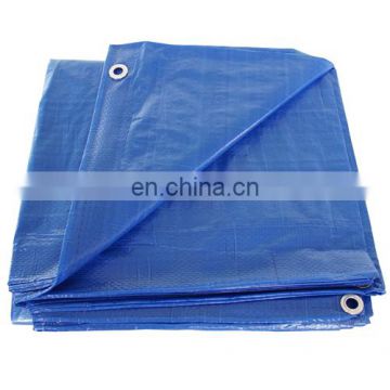 blue 12 x 18-Foot Tarpaulin Large