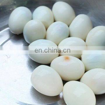 Full Automatic High Efficiency Electric Hen Egg Shelling Machine photo-3