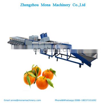 Fruit & Vegetable Washing Drying Waxing Sorting Line Machine Fruits Processing