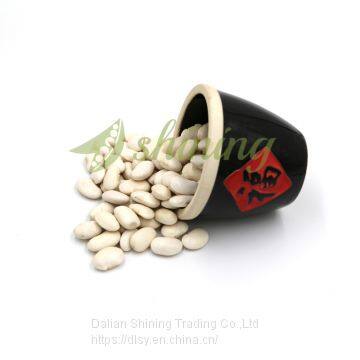 Large White Kidney Beans photo-2