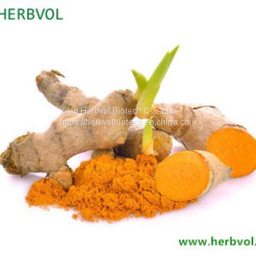 Turmeric Extract