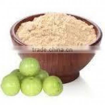 Superior quality Bhumi Amla powder suppliers