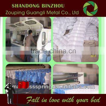 China King Size Mattress of Pocket Spring Mattress for Swl Mattress photo-6