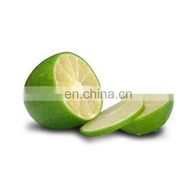 TOP FOOD FAMOUS FOR VIIET NAM GREEN LEMON HIGH QUALITY WITH BEST PRICE