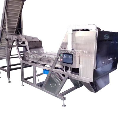 Non-metallic ore Color Sorter