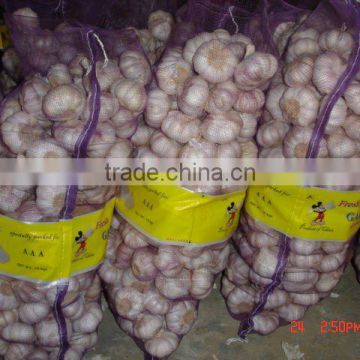 Normal white Garlic 5.0cm in 20kg mesh bag