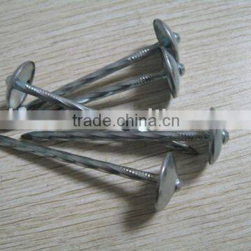 UMBRELLA HEAD ROOFING NAILS