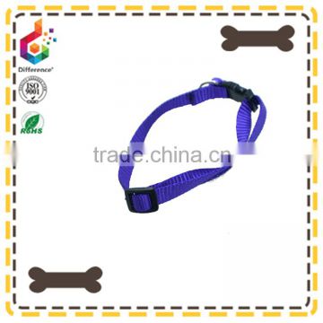 Purple nylon collar with a ring bell