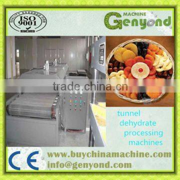 fruit and vegetable drying processing production line / food drying machine