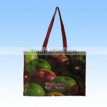 Shopping Bag / Colourful / Thrifty