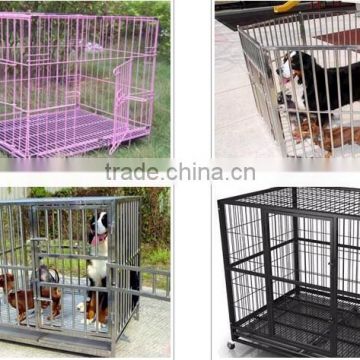 Anping factory Low carbon steel galvanized welded rabbit cage wire mesh