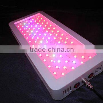 100X3W Discount Led Plant Grow Light Wavelength Led Grow Lights For Plangting EG200