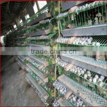 Wire Mesh Layer Quail Cages Feeding Equipment / Quail Cage For Zimbabwe