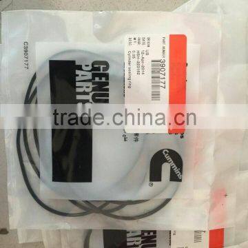 cylinder sealing seal3907177