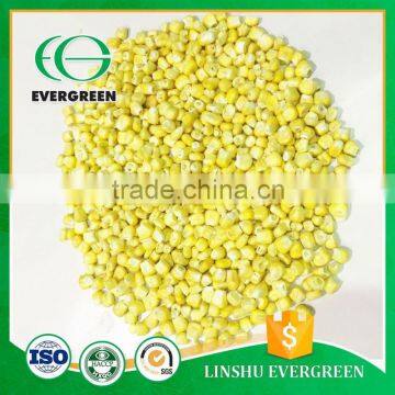 Chinese hot sale freezed dried sweet corn                        
                                                                                Supplier's Choice