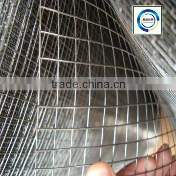 Price Galvanized & PVC Coated & Black &Stainless Steel Welded Wire Mesh