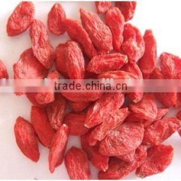 hot sale dried goji berries fruit