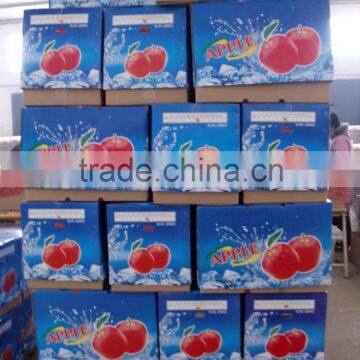China Fresh Perfumed Fuji Apple