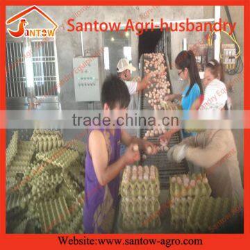 Automatic Farm Building Chicken Egg Layer Cages Poultry Cage House photo-6